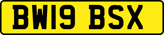 BW19BSX