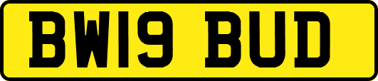 BW19BUD
