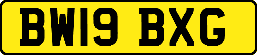 BW19BXG