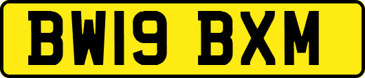 BW19BXM