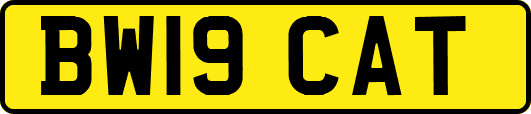 BW19CAT