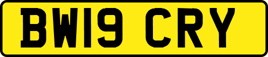 BW19CRY