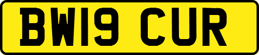 BW19CUR