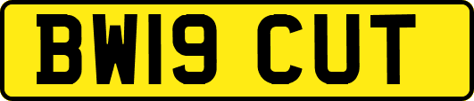 BW19CUT