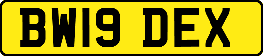 BW19DEX