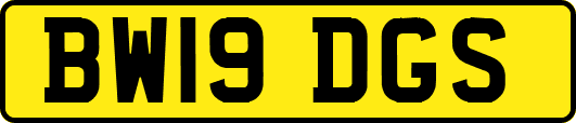 BW19DGS
