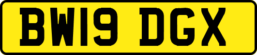 BW19DGX