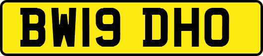 BW19DHO