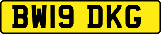 BW19DKG