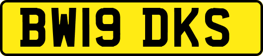 BW19DKS