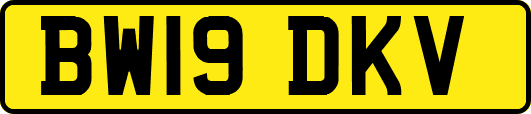 BW19DKV