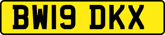 BW19DKX