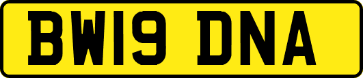 BW19DNA