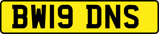 BW19DNS