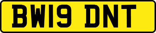BW19DNT