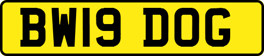 BW19DOG