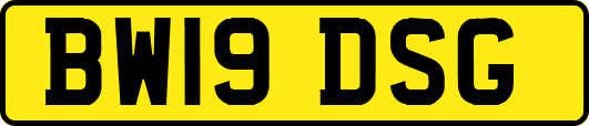 BW19DSG