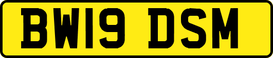 BW19DSM