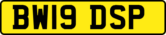 BW19DSP