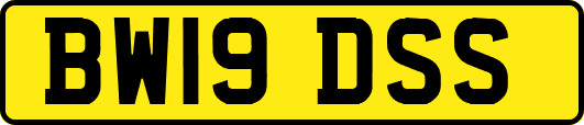 BW19DSS