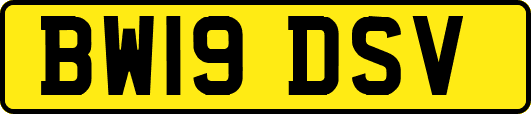 BW19DSV