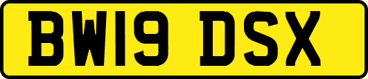 BW19DSX