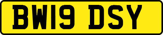 BW19DSY