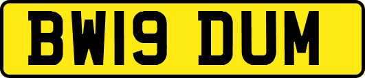 BW19DUM