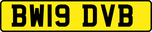 BW19DVB