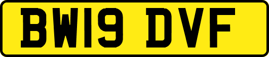 BW19DVF