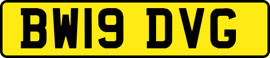 BW19DVG