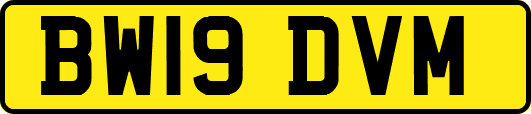 BW19DVM