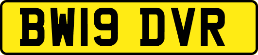 BW19DVR