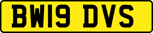 BW19DVS