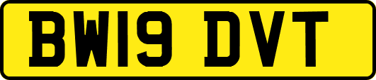 BW19DVT