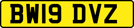 BW19DVZ