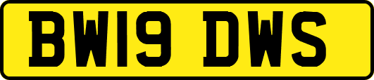 BW19DWS