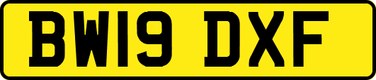 BW19DXF