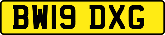 BW19DXG