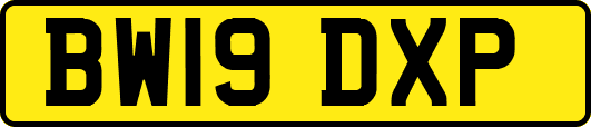 BW19DXP