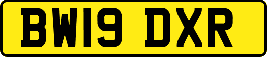 BW19DXR