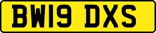 BW19DXS