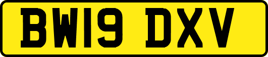 BW19DXV
