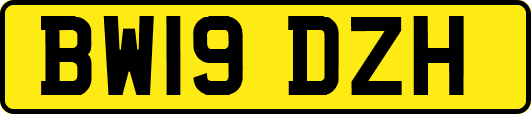 BW19DZH