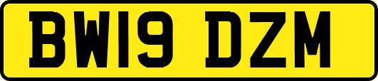 BW19DZM