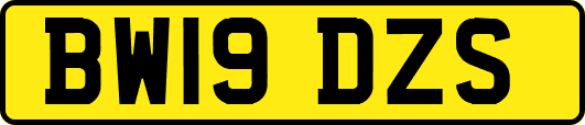BW19DZS