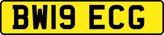 BW19ECG