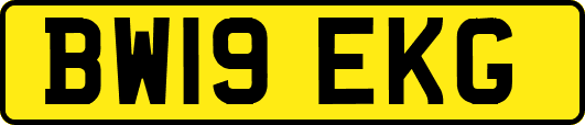 BW19EKG