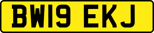 BW19EKJ