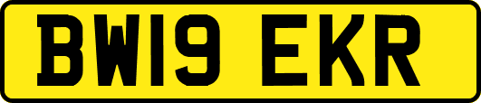 BW19EKR